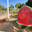 Urban sculpture in Ashdod park. Bench in the form of a cut watermelon in mosaic technique. Редакционное фото, фотограф Irina Opachevsky / Фотобанк Лори