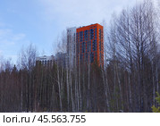Новостройка улица Зелёный Остров, дом 12 посреди заболоченного леса, Екатеринбург. Стоковое фото, фотограф Алексей Иванов / Фотобанк Лори