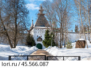 Саввино-Сторожевский монастырь. Звенигород. (2024 год). Стоковое фото, фотограф Лариса Гордеева / Фотобанк Лори