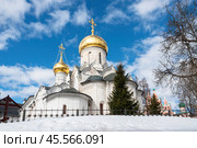 Саввино-Сторожевский монастырь, Собор Рождества Богородицы. Звенигород. (2024 год). Стоковое фото, фотограф Лариса Гордеева / Фотобанк Лори