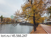 Autumn quiet evening on Chistye Prudy in Moscow. Редакционное фото, фотограф Саблин Станислав / Фотобанк Лори