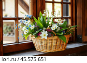 Floral arrangement of lilies and creepers in flower basket. Стоковое AI-изображение, AI-художник Владимир Григорьев / Фотобанк Лори