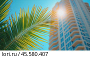 Corporate ESG reporting and nature awareness concept with green elements and business buildings. Copy space for text. Стоковое AI-видео, аниматор Ирина Михайличенко / Фотобанк Лори