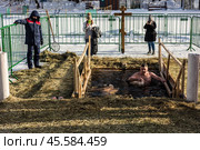 Люди купаются в проруби на праздник Крещения в Воронцовском парке, Москва (2022 год)./ Epiphany bathing in the ice hole in the Vorontsovo estate, Moscow. Редакционное фото, фотограф Iva Noel / Фотобанк Лори