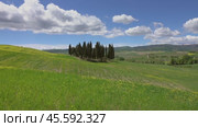 Tuscany hills with yellow flowers on green fields (2017 год). Стоковое видео, видеограф Михаил Коханчиков / Фотобанк Лори