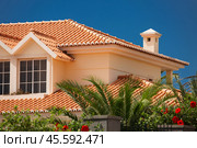 Tiled roof of a large house (2014 год). Стоковое фото, фотограф Дмитрий Киселёв / Фотобанк Лори