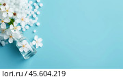 A clear blue backdrop showcases homeopathic globules and a glass bottle, alongside delicate herbs, emphasizing alternative healing practices in a serene flatlay composition. Стоковое AI-изображение, AI-художник Sergey Grishin / Фотобанк Лори