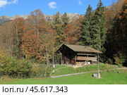 Old traditional wooden houses in open air museum Ballenberg in autumn. View of the Alps. Canton of Bern, Switzerland. Стоковое фото, фотограф Bala-Kate / Фотобанк Лори