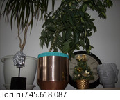 Новогодняя ёлочка между разных предметов. Редакционное фото, фотограф AlexRen / Фотобанк Лори