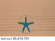 Circle made of sand with starfish. With empty space. Стоковое фото, фотограф Александр Собко / Фотобанк Лори