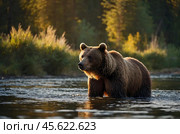 A brown bear is fishing in a river in the forest against the background of sunset. Стоковое AI-изображение, AI-художник Александр Поташев / Фотобанк Лори