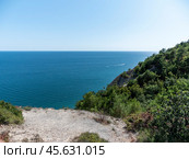 Olive tree branches with sea in the background. Стоковое фото, фотограф Фотограф / Фотобанк Лори