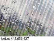 Corrugated shiny metal wall, industrial background texture. Стоковое фото, фотограф EugeneSergeev / Фотобанк Лори