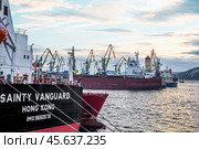 Транспортные корабли в Кольском заливе, в Мурманском морском торговом порту (2014 год). Редакционное фото, фотограф Павел Просянов / Фотобанк Лори