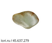 Tremolite is a member of the amphibole group of silicate minerals. Стоковое фото, фотограф Константин Григорьев / Фотобанк Лори