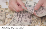 Businessman counts dollars bill in hands. Стоковое видео, видеограф Громов Александр / Фотобанк Лори