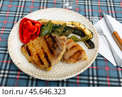 Delicious mediterranian style steak served with baked tomatoes eggplant and chili peppers. Стоковое фото, фотограф Яков Филимонов / Фотобанк Лори