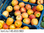 Red apple fruits are stacked in large and capacious cardboard boxes. Стоковое фото, фотограф Яков Филимонов / Фотобанк Лори