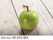 Tropical sweet fruit Sapote Star apple. Стоковое фото, фотограф Андрей Старостин / Фотобанк Лори