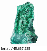Malachite mineral stone showing concentric pattern on white background. Стоковое AI-изображение, AI-художник Иван Рябоконь / Фотобанк Лори