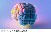 Glowing brain model with vibrant neural activity animation. Стоковое AI-видео, аниматор Юрий Поздников / Фотобанк Лори