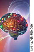 Human brain showing areas responsible for love. Стоковое AI-видео, аниматор Юрий Поздников / Фотобанк Лори