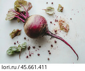 Raw beetroot with leaves and lumps of earth lies on a white background. Стоковое AI-изображение, AI-художник Ярославский Максим / Фотобанк Лори