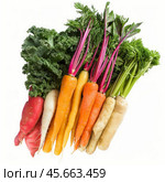 Colorful carrots, parsnips and kale showing healthy eating and organic food. Стоковое AI-изображение, AI-художник Иван Рябоконь / Фотобанк Лори