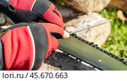 master sharpens chainsaw chain before cutting wood. Стоковое фото, фотограф Igor Skripachev / Фотобанк Лори