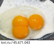 Fried eggs with three yolks in one egg in a frying pan. Стоковое фото, фотограф Сергей Пристяжнюк (Serg Zastavkin) / Фотобанк Лори