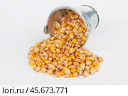 Corn grains spilling out of bucket. Стоковое фото, фотограф Александр Собко / Фотобанк Лори