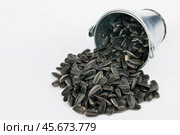 Sunflower seeds spilling out of bucket. Стоковое фото, фотограф Александр Собко / Фотобанк Лори
