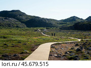Pedestrian ecotrope Teriberka Nature Park. The reserve of the Barents Sea coast. Стоковое фото, фотограф Глущенко Елена / Фотобанк Лори