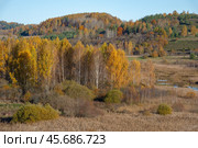 Золотая осень в Изборско-Мальской долине. Псковская область. Стоковое фото, фотограф Анна Карасева / Фотобанк Лори