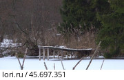 Зима в лесу. Декабрь. Мостик на замерзшем болоте. Winter in the forest. December. Bridge on a frozen swamp. Стоковое видео, видеограф Горшков Александр / Фотобанк Лори