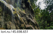 A fragment of an unusual tropical waterfall. Thin streams of water flow down the mossy ledges of the rock, forming a veil. Lush green vegetation. Philippines. Cebu. Tumalog Falls. Стоковое фото, фотограф Вера Ивановна Кубарева / Фотобанк Лори