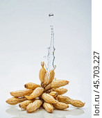 Spices and Medicinal Herbs - Ginseng, isolated on white background. Generative AI. Стоковое AI-изображение, AI-художник Андрей Аркуша / Фотобанк Лори