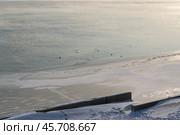 Пейзаж, утки на замерзающей реке, туман над водой, морозный зимний вечер. Волгоград, река Волга, Россия. Стоковое фото, фотограф Андрей Цыганков / Фотобанк Лори