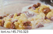 Breakfast Chocolate corn cereal in a bowl with milk. Стоковое видео, видеограф Андрей Армягов / Фотобанк Лори