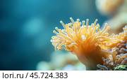 Coral polyps thriving under the ocean surface with sunlight filtering through water in a vibrant marine ecosystem. Стоковое AI-изображение, AI-художник Сергей Толмачёв / Фотобанк Лори