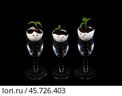 Забавные фигурки из яичной скорлупы с нарисованными лицами и молодыми ростками томатов в рюмках на темном фоне. Стоковое фото, фотограф Светлана Васильева / Фотобанк Лори