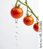 Cherry tomatoes, isolated on white background. Generative AI. Стоковое AI-изображение, AI-художник Андрей Аркуша / Фотобанк Лори