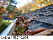 Leaves clogging gutter on residential roof during autumn season. Стоковое AI-изображение, AI-художник Иван Рябоконь / Фотобанк Лори