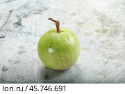 Tropical sweet fruit Sapote Star apple. Стоковое фото, фотограф Андрей Старостин / Фотобанк Лори