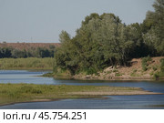 Берег реки Ахтуба в Волгоградской области (2023 год). Редакционное фото, фотограф Free Wind / Фотобанк Лори