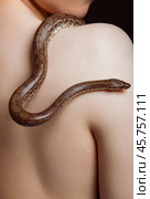 A woman with a pet snake. A rainbow boa crawls over a woman shoulder. Стоковое фото, фотограф Неведицына Елена / Фотобанк Лори