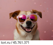 Funny dog with glasses on pink background in studio. Стоковое AI-изображение, AI-художник Ирина Старикова / Фотобанк Лори