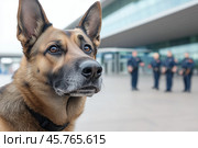 Detection dog at the airport in front of the customs guards. Стоковое AI-изображение, AI-художник Евгений Харитонов / Фотобанк Лори