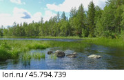 Landscape with river and forest in Karelia. Стоковое видео, видеограф Михаил Коханчиков / Фотобанк Лори
