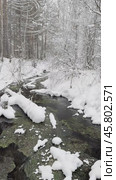 Vertical video of winter landscape with non-freezing river Oda into which natural springs and sources flow. Snow-covered river bank and forest. Winter travels and outdoors. Natural background. Стоковое видео, видеограф Виктория Катьянова / Фотобанк Лори